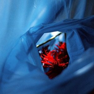 Meet your Posher, Jín